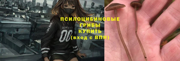 ешки Богданович