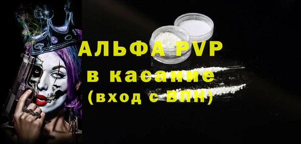 стаф Тобольск