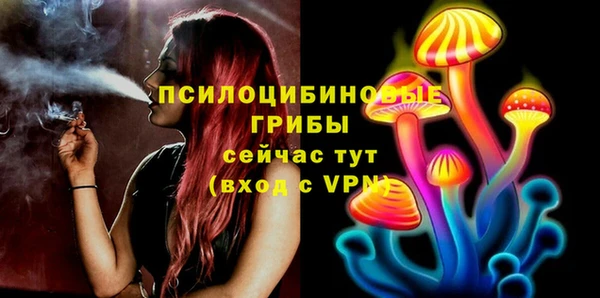 гидропоника Богородицк
