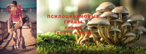 спиды Беломорск
